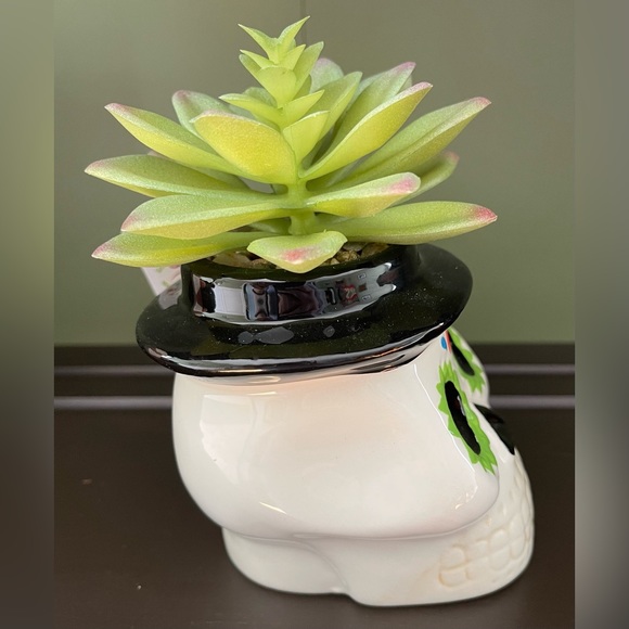 Sugar Skull Faux Succulent 5” Ceramic Planter Valentine's Day Black Green NWT - Picture 2 of 5